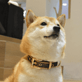thumbnail image 6 of Leather dog collar soft durable strong waterproof collar adjustable, 6 of 6