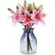 thumbnail image 4 of Xiao Hua Juego de 5 flores de lirio artificiales con un toque realista, ideal para bodas, fiestas, jardines y decoración de oficinas. Flores de lirio artificiales, color rosa intenso., 4 of 5