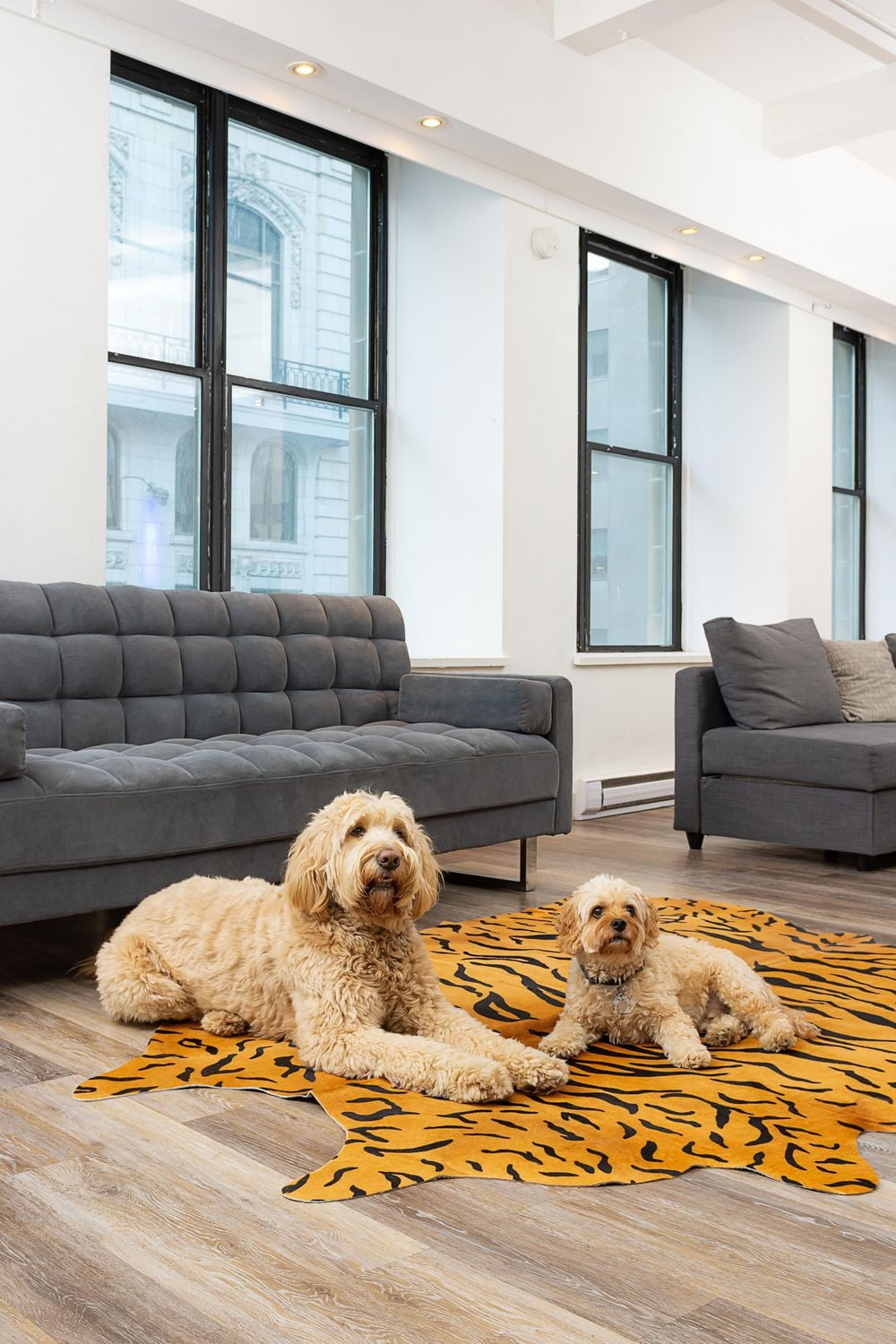 H-Natural 6'X7' Togo Animal Print Cowhide Rug