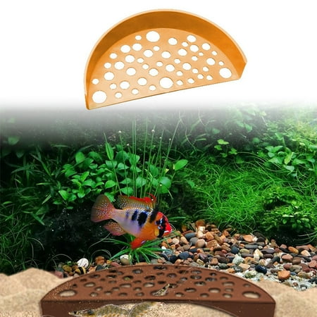 

Resting Area Aquarium Ornamental Accessories Aquatic Supports To Decorate Your Aquarium And Increase The Scenery Of The Aquarium. Home Appliances