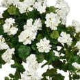 thumbnail image 2 of Faux White Geranium Hanging Basket White Water Hyacinth, 2 of 5