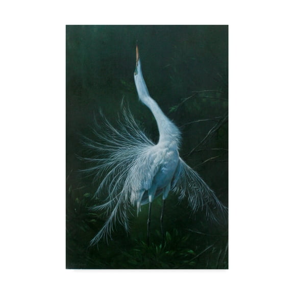 Trademark Fine Art 'Displaying Egret' Canvas Art by Michael Jackson