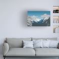 thumbnail image 3 of Annie Bailey Art 'Gaining Altitude' Canvas Art, 3 of 3