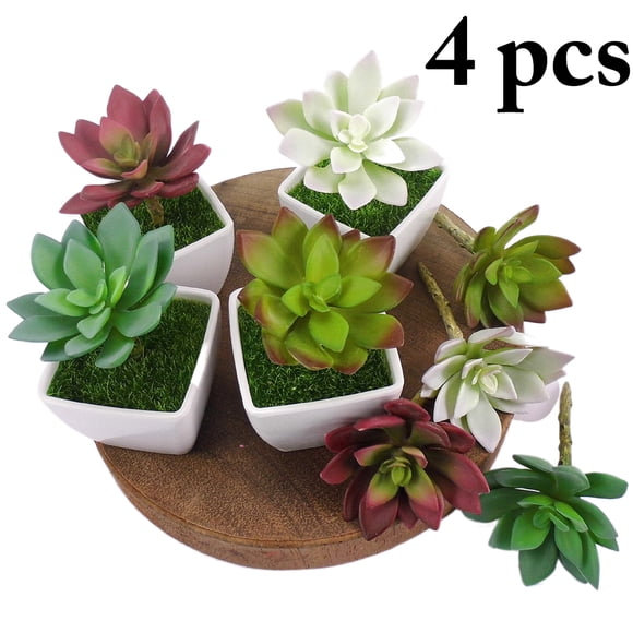 Coofit 4 PCS artificielle plante artificielle succulente Faux succulente pour la décoration