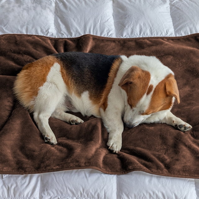 Fiudx Manta de Lana de Cordero para Mascotas, Impermeable, Suave y Cálida, Acolchada, Acogedora, Impermeable y Cómoda, Perfecta para Mascotas Pequeñas, Medianas y Grandes, 101 X 76 Cm