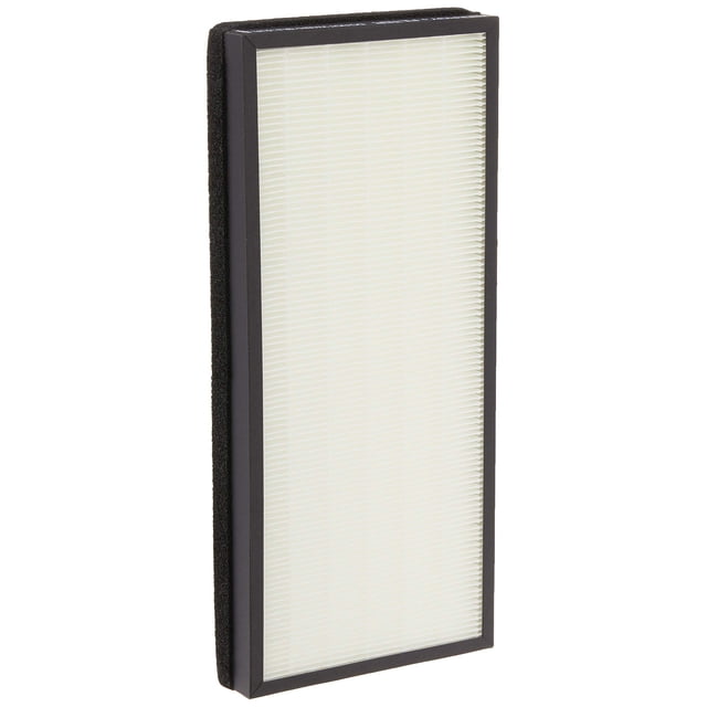 Filtro eliminador de alérgenos HEPA Rowenta XD6074 para PU4020/PU4081 Rowenta Ver descripción