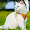 thumbnail image 6 of Stimulicat Cat Harness, StimuliCat Harness Design for Outdoor Cats, Adjustable Soft Mesh Vest Harness with Reflective Safety Strips (Blue, XXXS:Neck Circumference 9.45-11.02 in 1.10-3.31 lb), 6 of 8