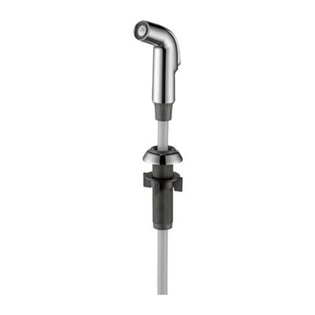 Delta Side Spray & Hose Assembly in Chrome RP60097