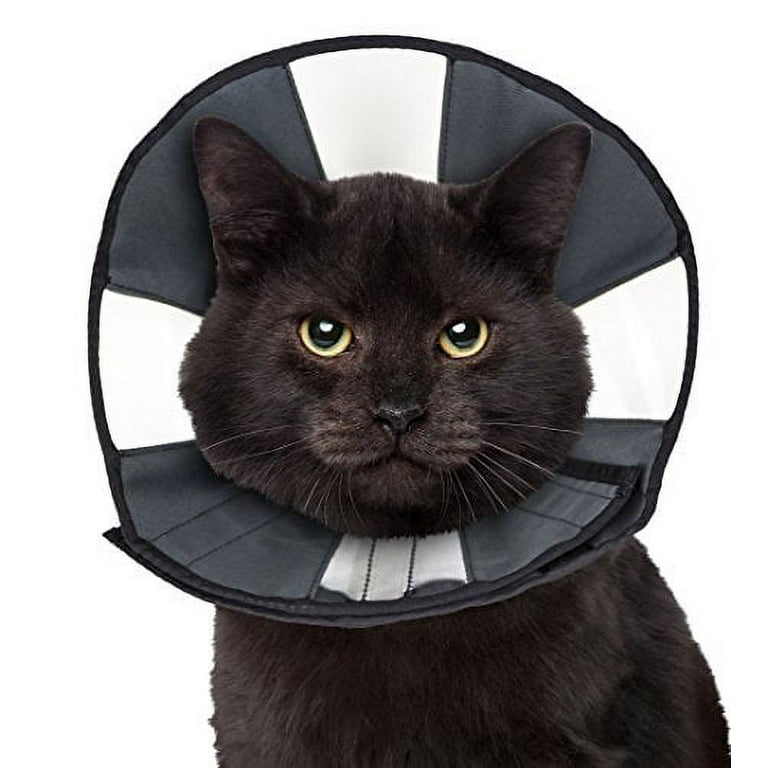 ZenPet ZenCone ProCone Soft Recovery Collar Lightweight Adjustable for Pet  Small 8 inch-12 inch - Walmart.com