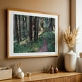 thumbnail image 5 of Untitled - California Photography Forest Nature Woodland Scenic Wilderness Unframed Wall Art Print 40 x 60 inches, 5 of 7