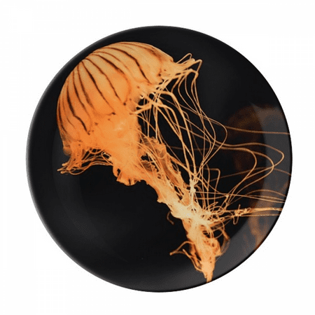 

Ocean Jellyfish Science Nature Picture Plate Decorative Porcelain Salver Tableware Dinner Dish