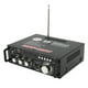 thumbnail image 5 of Amplificador de audio, amplificador de potencia 300W 300W Amplificador de altavoz Amplificador de potencia CC de alta capacidad, 5 of 12