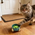 thumbnail image 2 of Slow Feeder Dog Bowl Anti Gulping Puzzle Maze Dog Slow Feeder Bowl for Healthy Eating, Non-Slip Interactive Dog Bowl Bloat Stop Slow Eating Dog Bowl for Small Medium Dogs & Cats 4.72 in, 2 of 7