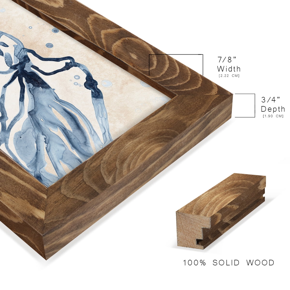 Water Shells I - Framed Print w/glass - Walnut