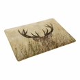 thumbnail image 2 of MKHERT Deer Wilderness Stag Countryside Rural Theme Doormat Rug Home Decor Floor Mat Bath Mat 23.6x15.7 inch, 2 of 3
