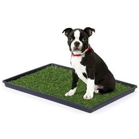 UPC: 0048081005019 | Prevue Pet Products Tinkle Turf