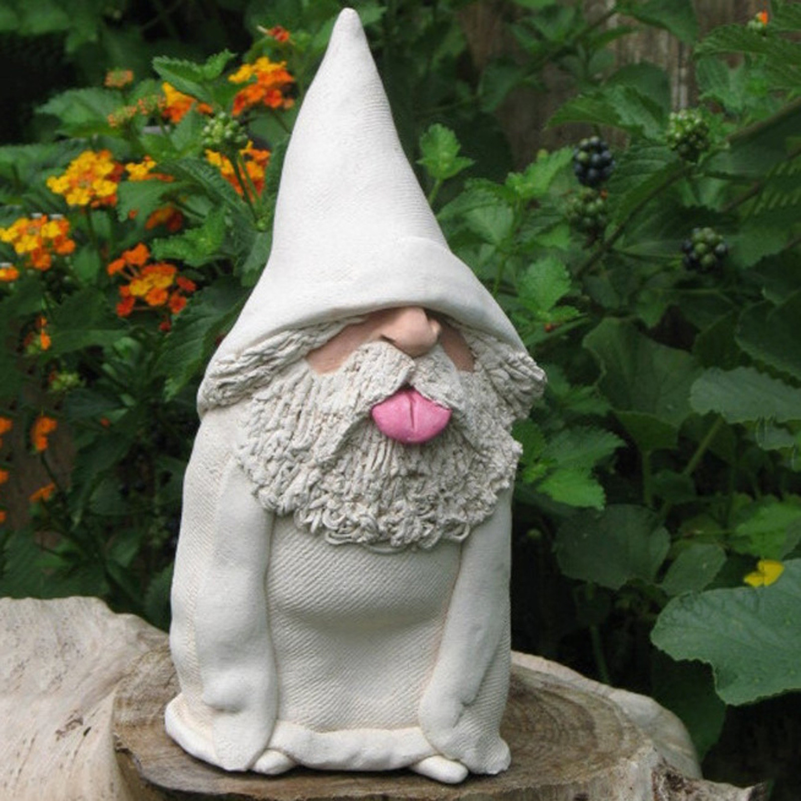 Womail Garden Supplies 1PC Tongue Gnome Naughty Garden Gnome for Lawn  Ornaments Indoor Or Outdooor - Walmart.com