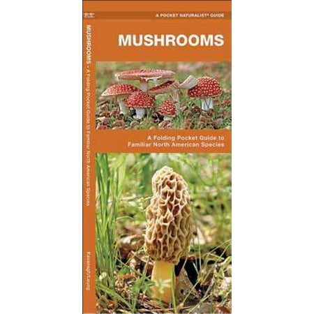 Mushrooms A Folding Pocket Guide To Familiar North