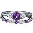 thumbnail image 2 of Naierhg 2Pcs Finger Jewelry Dual Type Non-allergic Durable Fashion Cycle Ring for Gift Purple, 2 of 8