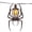 Hanging Spider Light, variant on 2026 New Halloween Hanging Bat Flame Lights, Vintage Metal Frame Lantern with Warm Amber Edison Bulb, Indoor Outdoor String Light Decor for Porch Patio Room Halloween Decorations