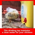 thumbnail image 5 of EGNMCR 3PCS Chicken Drinking Tap Nipple Horizontal Side Mount Screw Drinking Water DIY Cube, 5 of 5