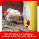 thumbnail image 5 of Bebederos horizontales para aves de corral | Diseño con resorte sin goteo | Plástico rojo | Soporte lateral para pollos Palomas Codornices | Paquete de 5 | Fácil instalación | Tamaño de 3,2 cm, 5 of 5