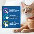 thumbnail image 6 of 9Lives Daily Essentials Dry Cat Food for Adult Cats with Chicken, Beef & Salmon, 15.5 lb. Bag, 6 of 11
