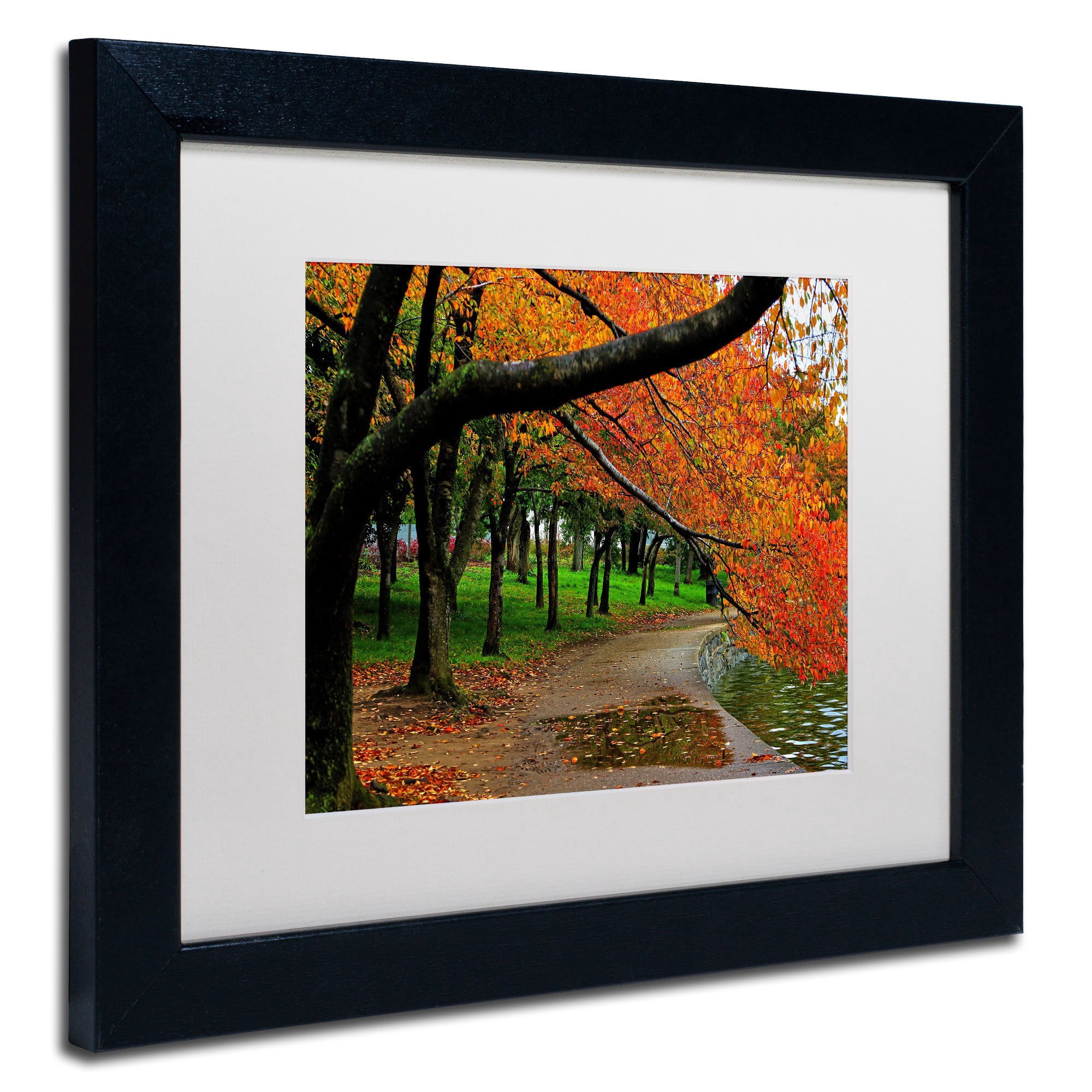 Trademark Fine Art "Tidal Basin Autumn 2" Canvas Art by CATeyes, White Matte, Black Frame