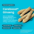 thumbnail image 5 of Chicle Neuro Memory & Focus (90 unidades) - Descafeinado y sin azúcar con ginseng americano, L-teanina, vitamina B12 y vitamina B6 para la alerta mental - Suplementos cerebrales para la memoria y la c, 5 of 5