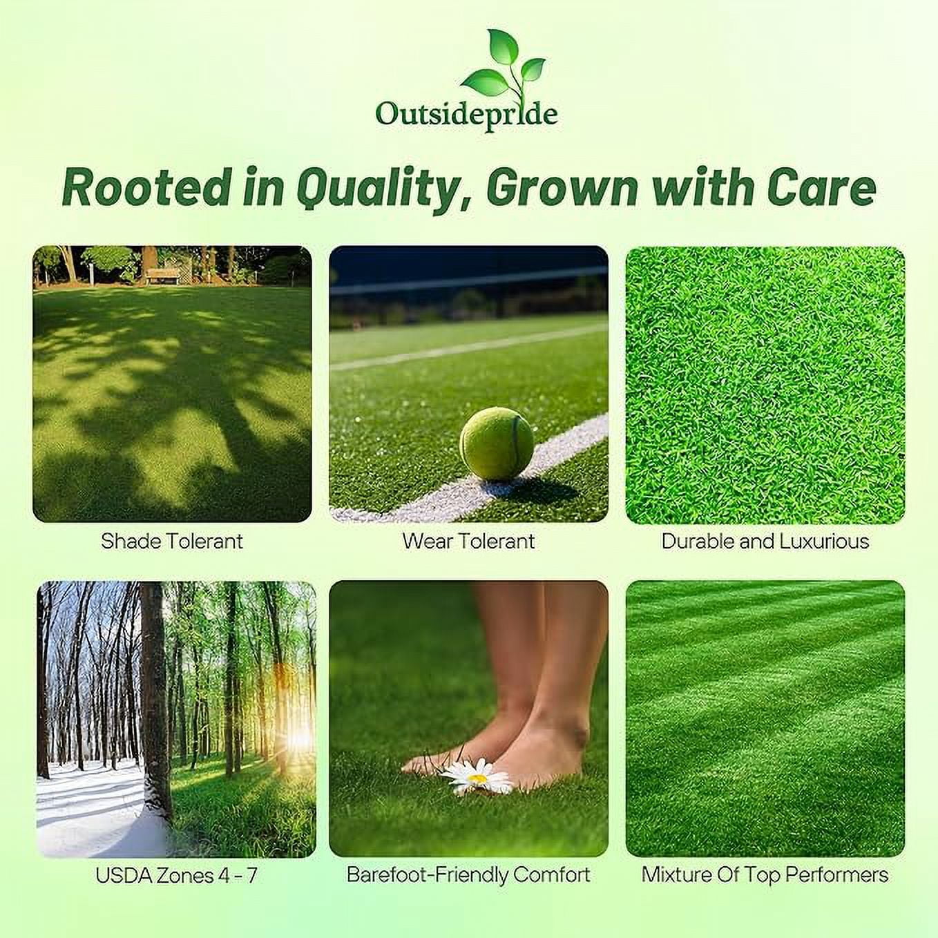 Outsidepride 10 lb. Perennial Rye Lawn Grass, Fine Fescue, & Kentucky Bluegrass Mix for Lawns & Sports Fields