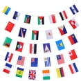 thumbnail image 1 of EeaseMX 1 pieza de 100 países con banderas colgantes para fiestas, bares, centros comerciales y karaokes., 1 of 7