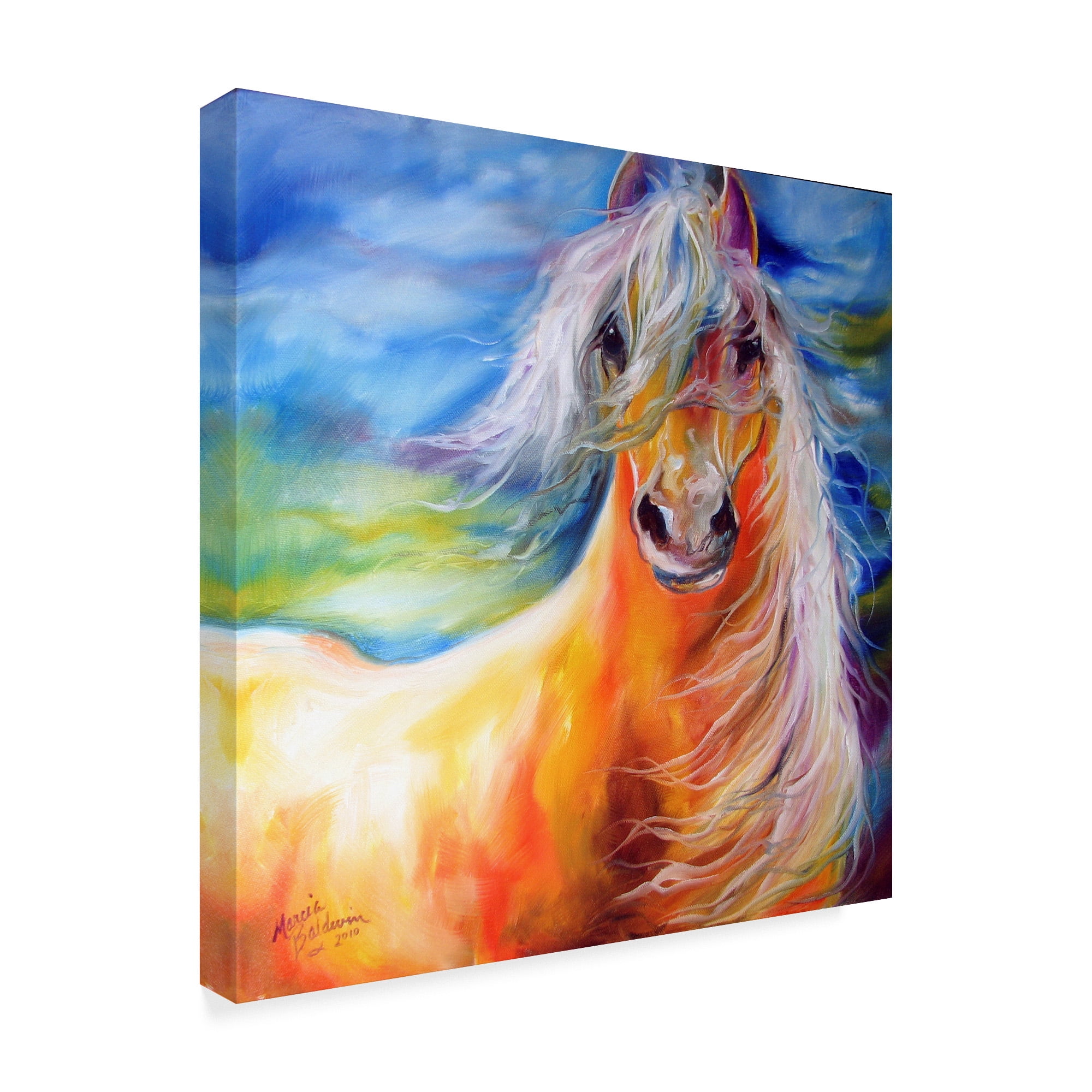 Trademark Fine Art 'Bright Day Equine' Canvas Art by Marcia Baldwin