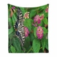 thumbnail image 1 of Swallowtail Butterfly Soft Flannel Fleece Blanket, Rare Butterfly on Blooming Spring Flowers Ecology Nature Theme, Cozy Plush for Indoor and Outdoor Use, 50" x 70", Green Pink Black, by Ambesonne, 1 of 6
