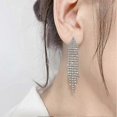 thumbnail image 3 of Chandelier Tassel Dangle Linear Drop Earrings Party Jewelry Clear Austrian Crystal, 3 of 4