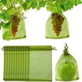thumbnail image 1 of 100 bolsas de protección de frutas, perfectas para proteger su fruta de daños. Bolsas de frutas para árboles frutales, 1 of 5