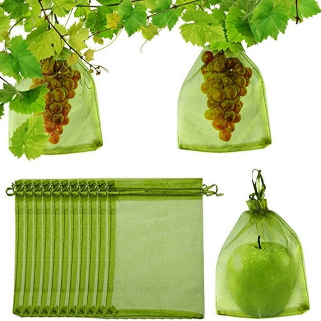 100 bolsas de protección de frutas, perfectas para proteger su fruta de daños. Bolsas de frutas para árboles frutales