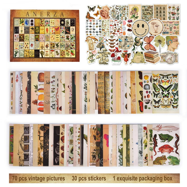 ANERZA 100 PCS Vintage Wall Collage Kit Aesthetic Pictures