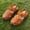 Yellow, variant on Liyamei Girls Sandals For Toddlers And Kids Comfortable Casual Party Footwear Soft Breathable Everyday Walking Shoes For Ages 1 6 Years Sandals For Girls Size Black 1-1.5 years
