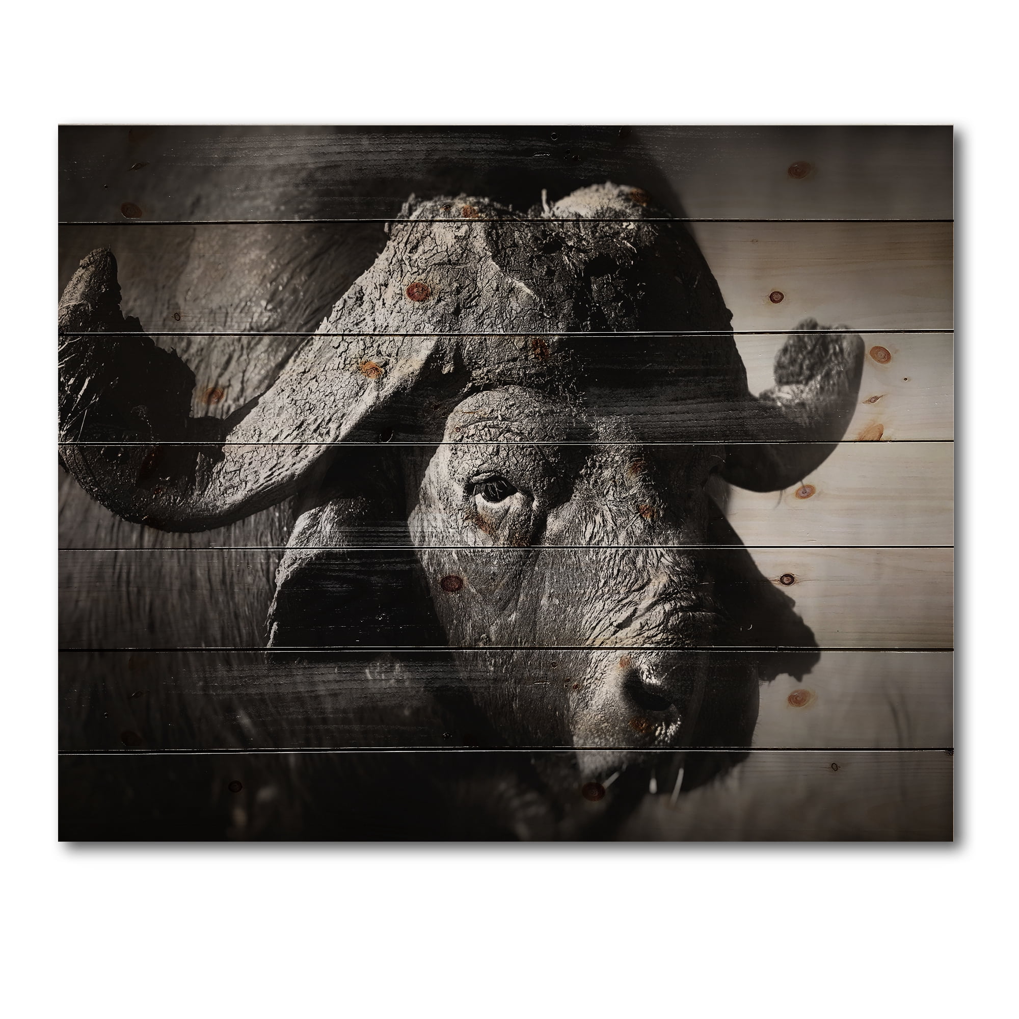 Designart 'Black and White Portrait Of Buffalo II' Farmhouse Print on Natural Pine Wood
