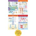 thumbnail image 1 of Conjunto de gráficos en tablón de anuncios NewPath Learning Genetics x4, 1 of 5