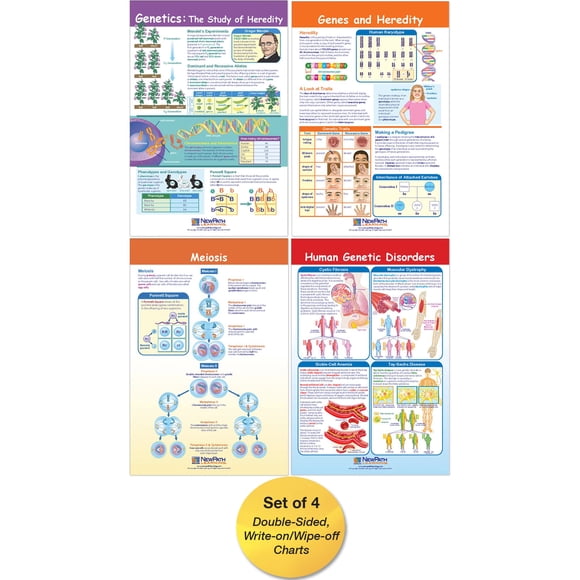 Conjunto de gráficos en tablón de anuncios NewPath Learning Genetics x4