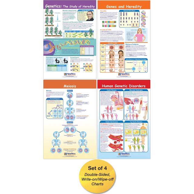 Conjunto de gráficos en tablón de anuncios NewPath Learning Genetics x4