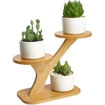3 Tier Table Top Plant Stand, Small Indoor Plant Shelf for Succulents, Flower Pot Holder for Windowsill, Balcony, Patio, Home Decor Gardening Gift