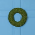 thumbnail image 1 of Northlight Reindeer Moss Artificial Wreath - 13.5" - Green, 1 of 6
