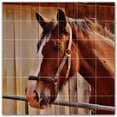 thumbnail image 1 of Picture-Tiles.com: Horse Ceramic Tile Wall Mural WAL500767-66L. 48"W x 48"H using (36) 8" x 8" Ceramic Tiles-Satin Finish, 1 of 3