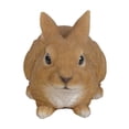 thumbnail image 5 of HI-LINE GIFT LTD. SITTING RABBIT, 5 of 5