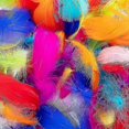 thumbnail image 3 of Colorful Feathers,300 Pieces Feather For Crafts Striking Feathers Natural Craft Feathers Goose/turkey Feathers For Diy Dream Catchers Wedding Baby Sho, 3 of 5
