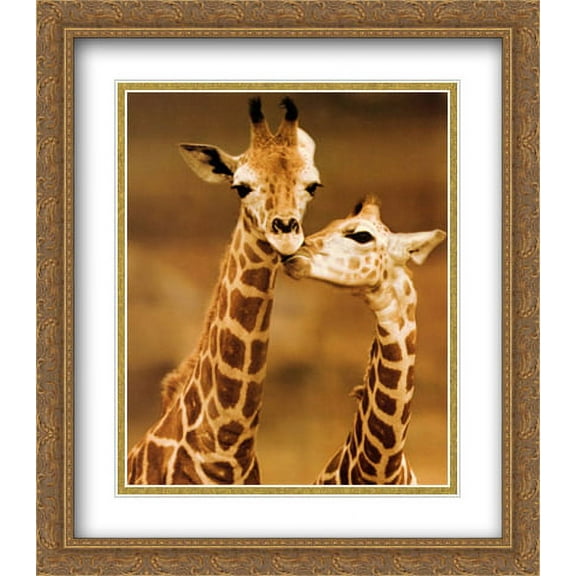 Giraffe First Love 2x Matted 28x32 Large Gold Ornate Framed Art Print by D'raine, Ron
