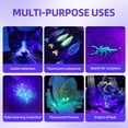 2 Pack Mini UV Black Light Flashlight - 12 LED Portable Blacklight for ...