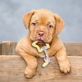 thumbnail image 5 of Durable Interactive Dog Chew Toy for Aggressive Chewers Long Lasting Bone Design Puppy Teething and Teeth Cleaning Pet Toy for All Size Dogs, 5 of 5